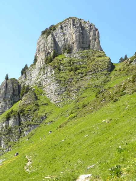 Widok na góry z Schynige Platte?, Szwajcaria — Zdjęcie stockowe