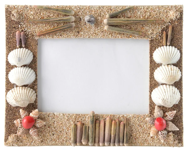 Series of seashells scattered around the frame — Stock Photo, Image