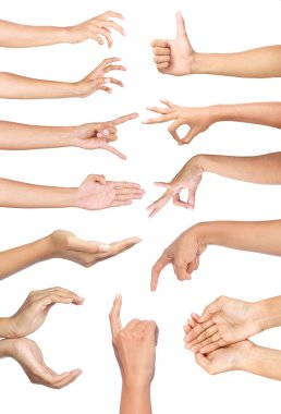 Set of many different hands gesture clipart