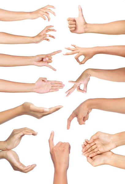 Set of many different hands gesture