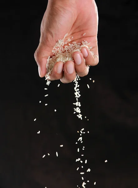 Verter el arroz — Foto de Stock