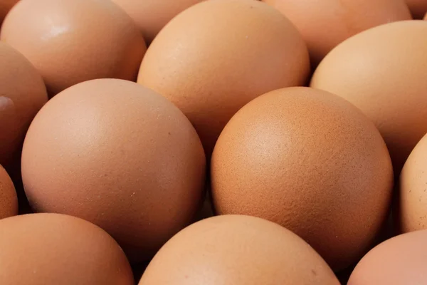 Några ägg — Stockfoto