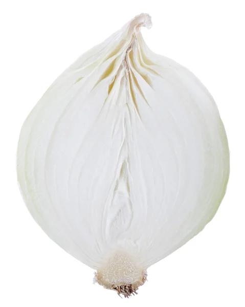 Белый лук — стоковое фото