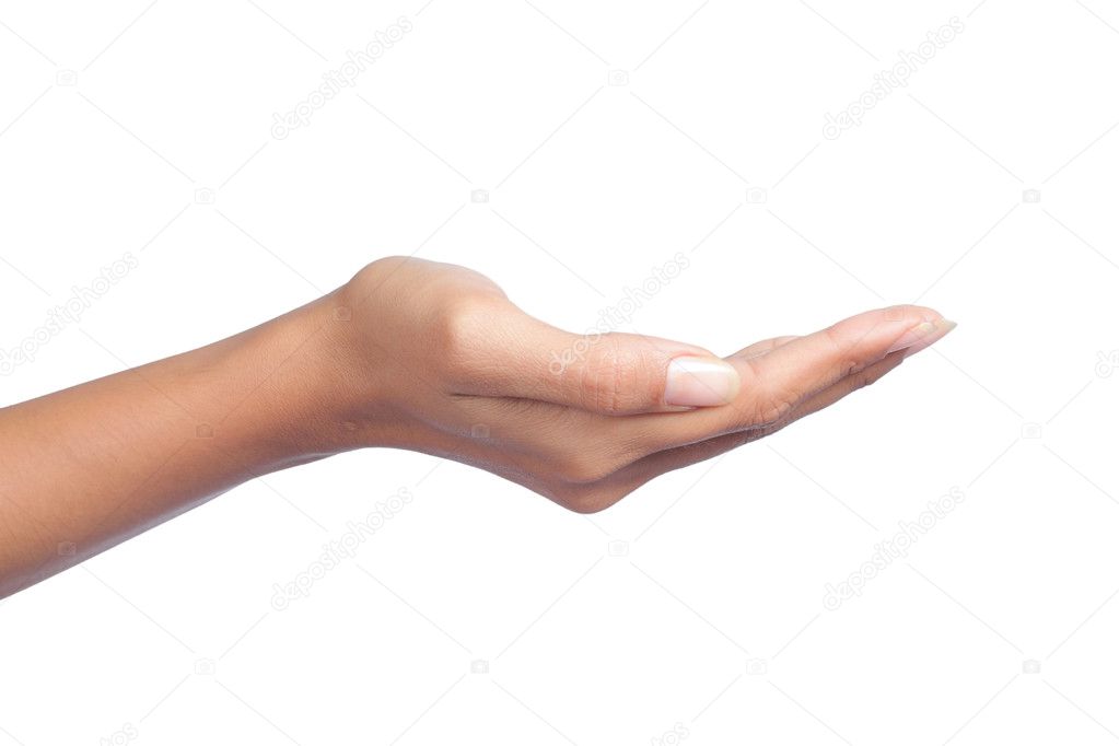 Gesture of womans hand open hand