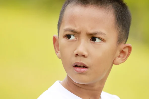 Portret van jonge jongetje in groene veld — Stockfoto