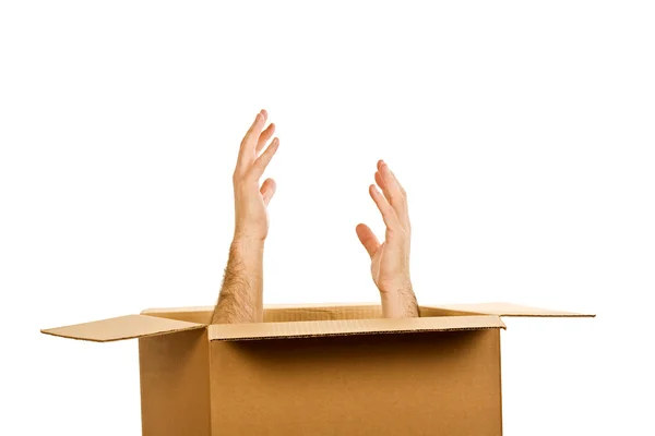 Hands inside of the box — Stock Photo, Image