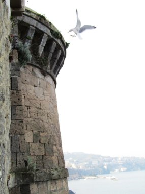 Fortificated bastion on the sea with a white gull clipart