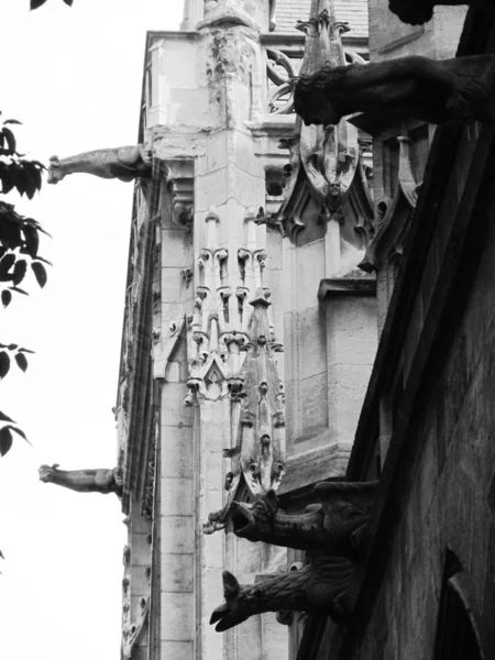 Gothic gargoyles in a medieval building — Stockfoto