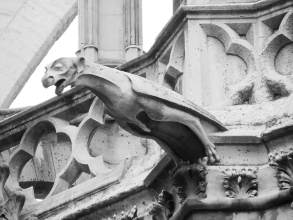 Gárgola en un monumento gótico — Foto de Stock