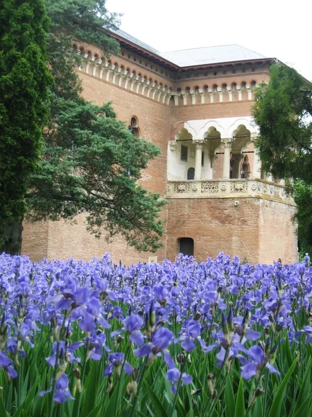 Rumänska historisk byggnad med iris Stockbild