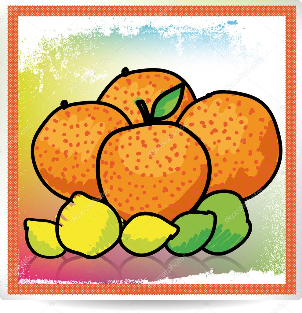 Citrus fruit, vector illustration