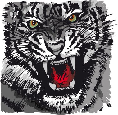 Sketch of white tiger. Vector illustration clipart