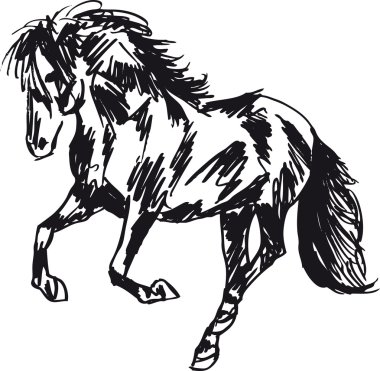 Stallion kroki. vektör çizim