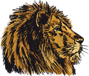 Sketch of a big male African lion. Vector illustration clipart