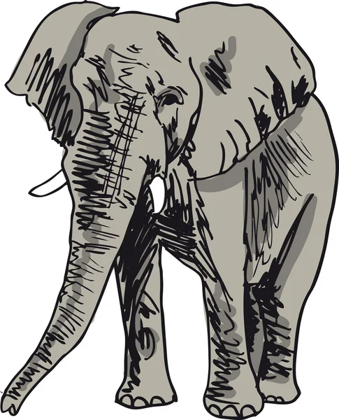 Schets van de olifant. vectorillustratie — Stockvector