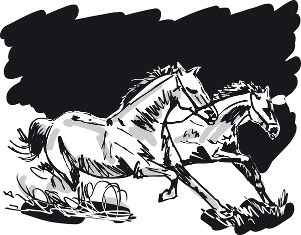 Stallion Sketch. Ilustración vectorial — Archivo Imágenes Vectoriales