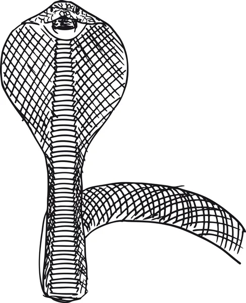 Эскиз агрессивной кобры. векторная иллюстрация — стоковый вектор