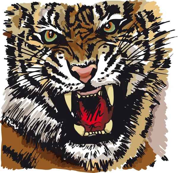 Esboço de tigre branco. Ilustração vetorial — Vetor de Stock