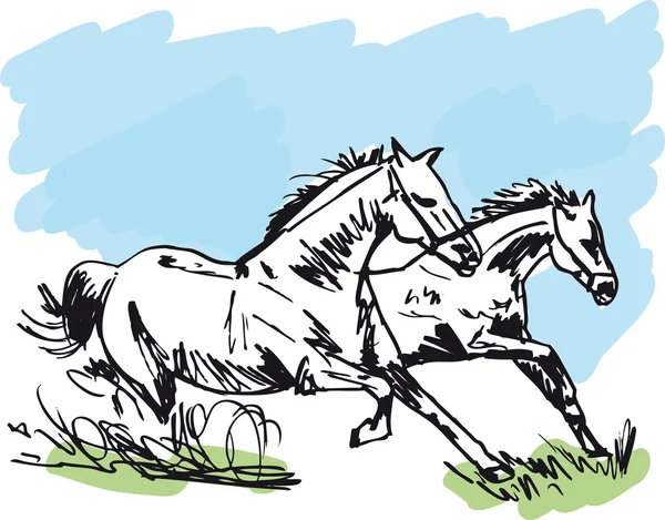 Stallion Sketch. Ilustración vectorial — Vector de stock
