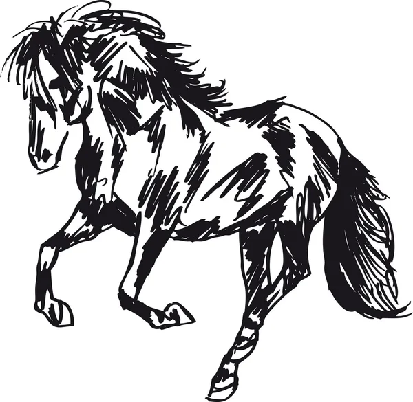 Stallion Sketch. Ilustración vectorial — Vector de stock