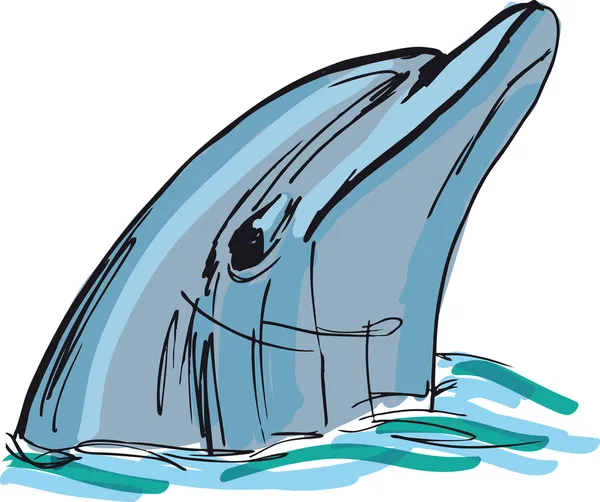 Boceto de cara de delfín. ilustración vectorial — Vector de stock