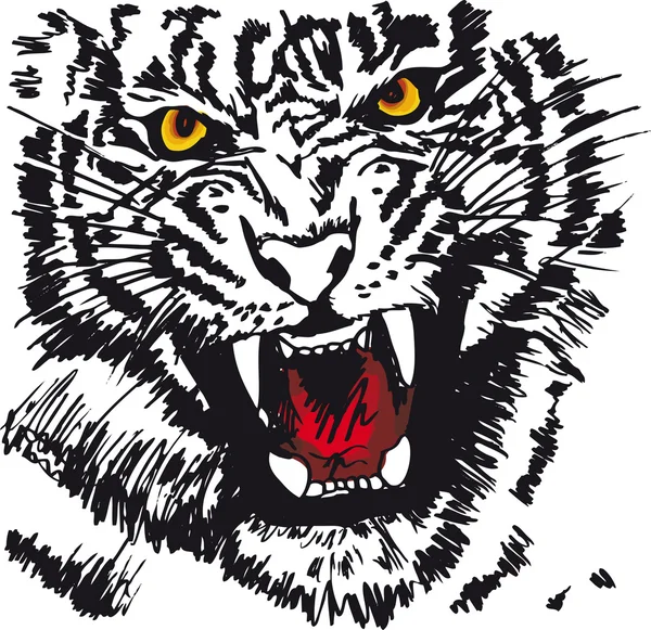 Skiss av vit tiger. vektor illustration — Stock vektor