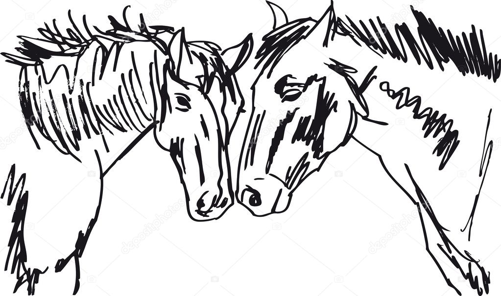 Stallion Sketch. Vector illustration
