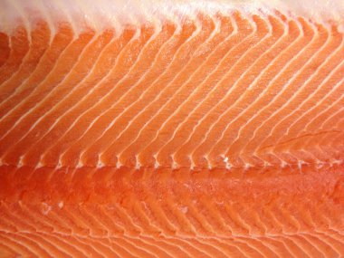Piece of big salmon fillet clipart