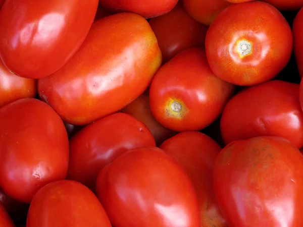 Frische Tomaten — Stockfoto