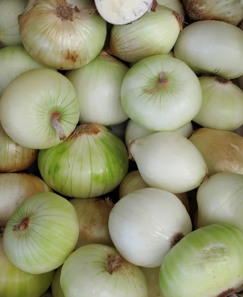 Primer plano de cebollas blancas frescas —  Fotos de Stock
