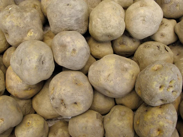 Peruanische Kartoffel — Stockfoto