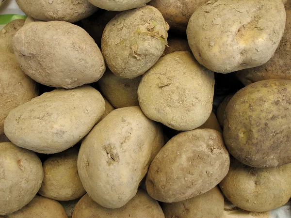 Patata peruviana — Foto Stock