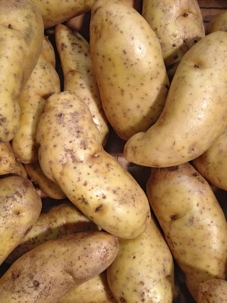 Peruánské brambor — Stock fotografie