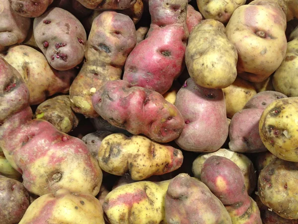 Peru ziemniaków — Zdjęcie stockowe