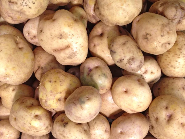 Peruanische Kartoffel — Stockfoto
