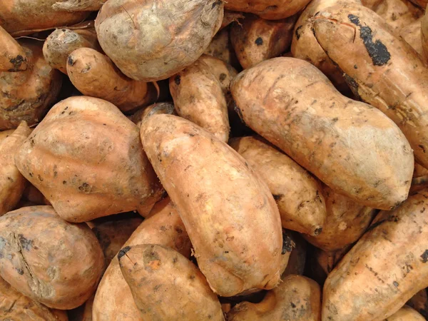 Słodki Peru ziemniaków. camote — Zdjęcie stockowe
