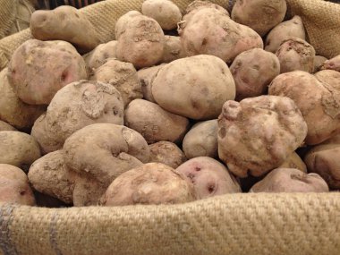 Peruvian potato on jute bag clipart