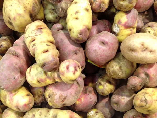 Peruánské brambor — Stock fotografie