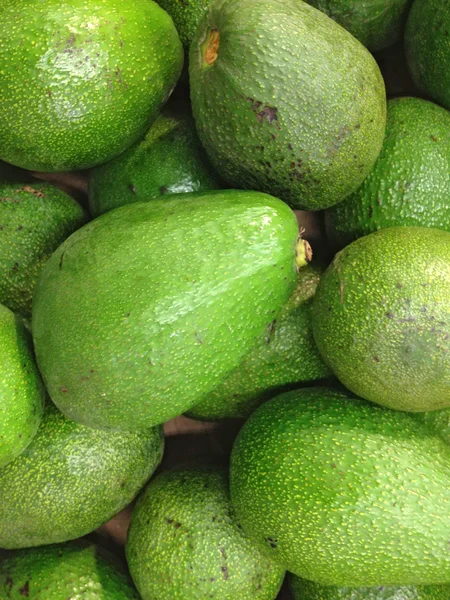 Avokado