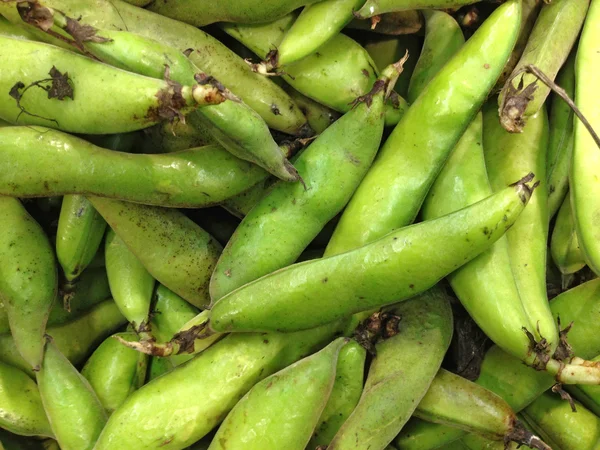 Fresh green bean species — Stock Photo, Image