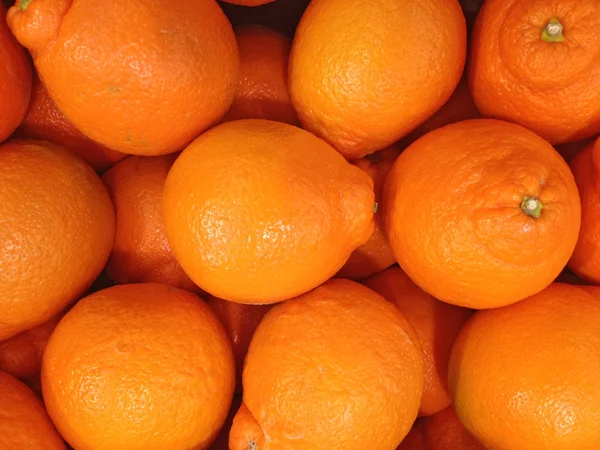 Groupe orange frais — Photo