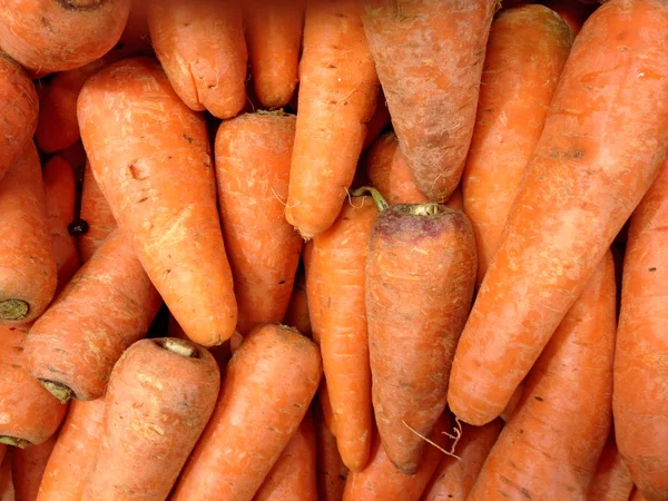 stock image Ripe carrots