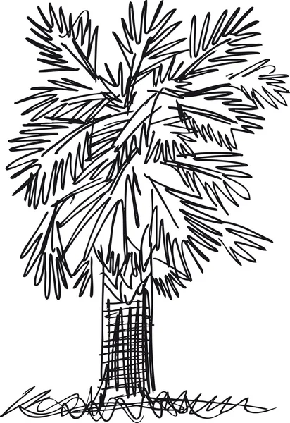 Croquis de palmier abstrait. Illustration vectorielle — Image vectorielle