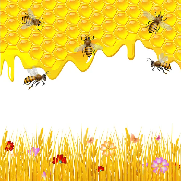 Fundo floral com mel — Vetor de Stock