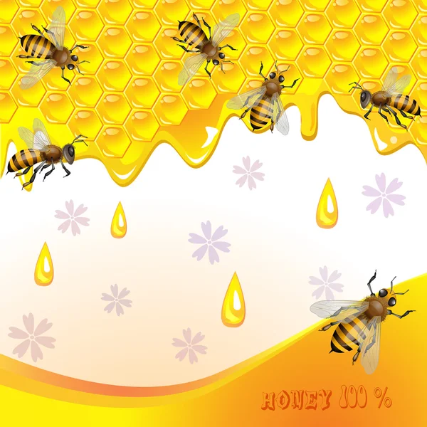 Fondo floral con miel — Vector de stock
