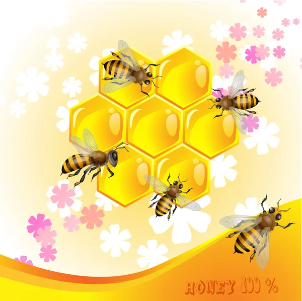 蜂蜜と花の背景 — ストックベクタ
