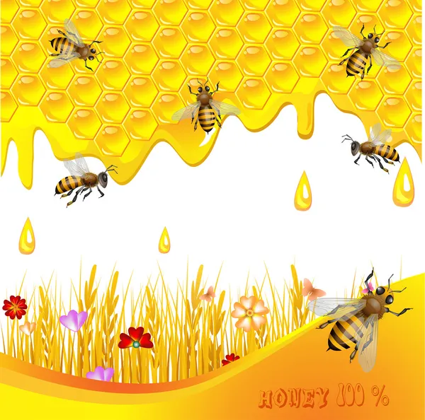 벌 꿀과 꽃 배경 — 스톡 벡터