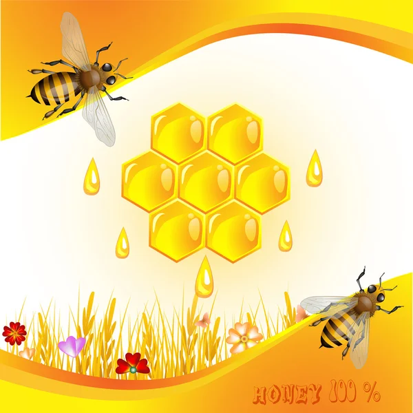 Blumiger Hintergrund mit Honig — Stockvektor