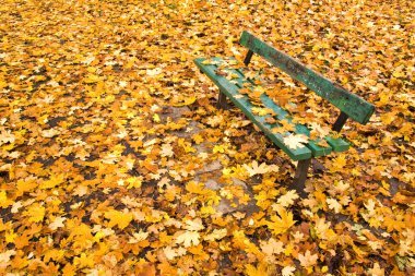 Park bankında ve sonbahar yaprakları