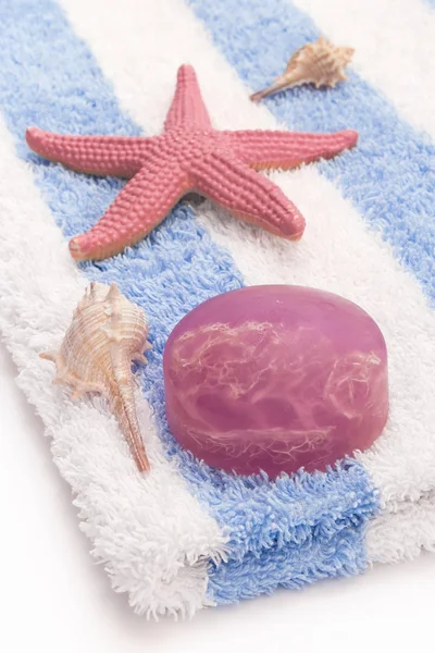 Soap with algae — Stock Photo, Image